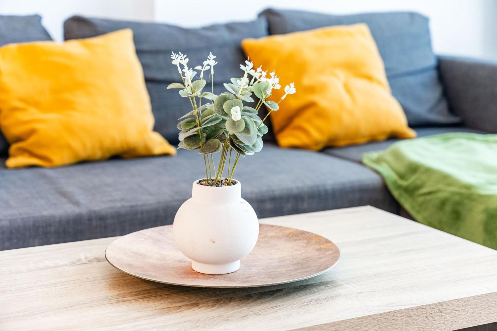Modern Apollus Avenue - By Openhouse Apartments ทิมิชัวรา ภายนอก รูปภาพ